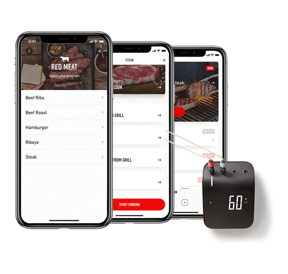 2095236 WEBER CONNECT SMART1