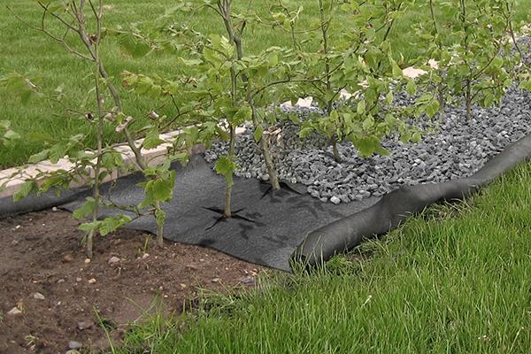 2102168 FIBERTEX UKRUDTSDUG 1X15M