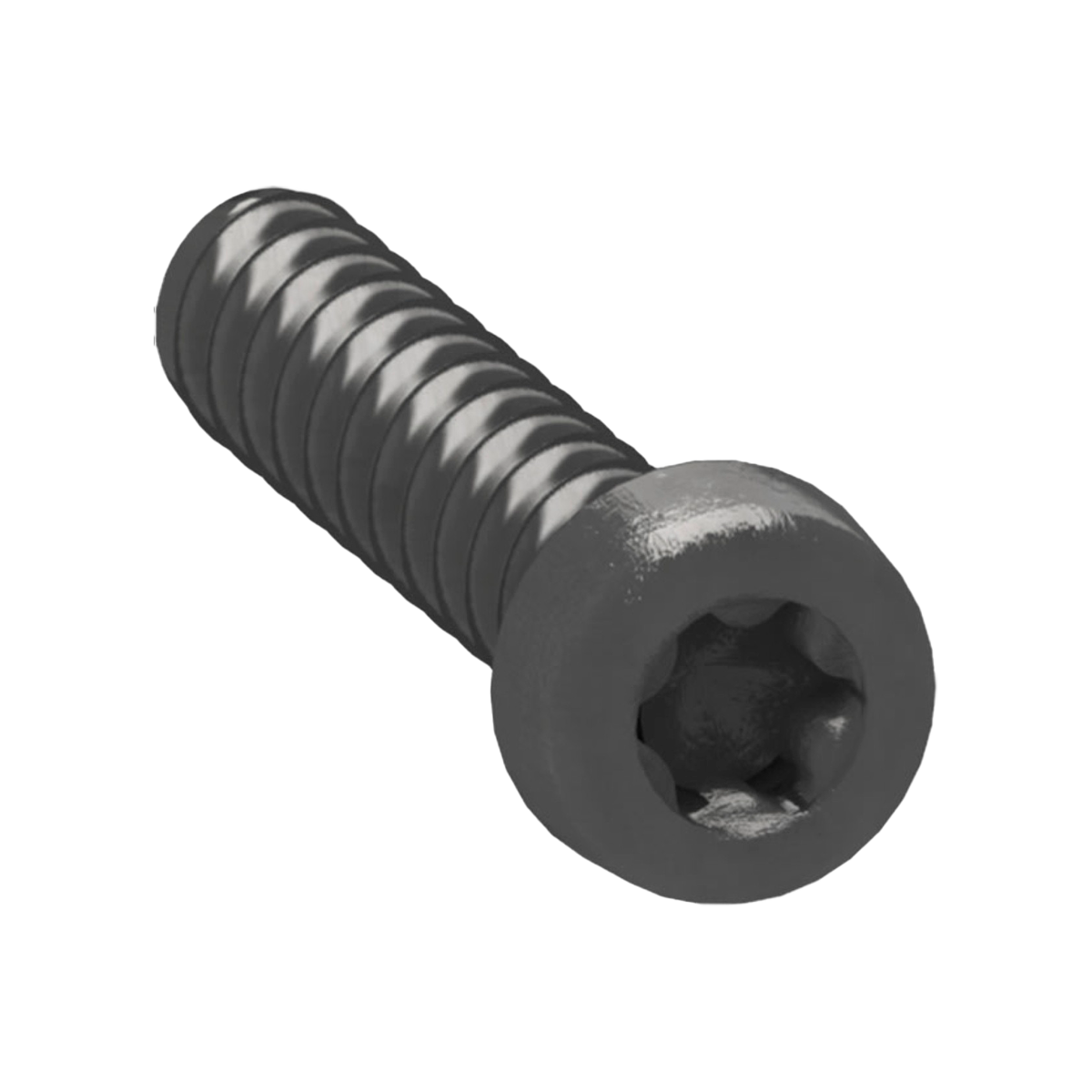 2215297 LK FUGA TORX SKRUE SORT 10 PAK