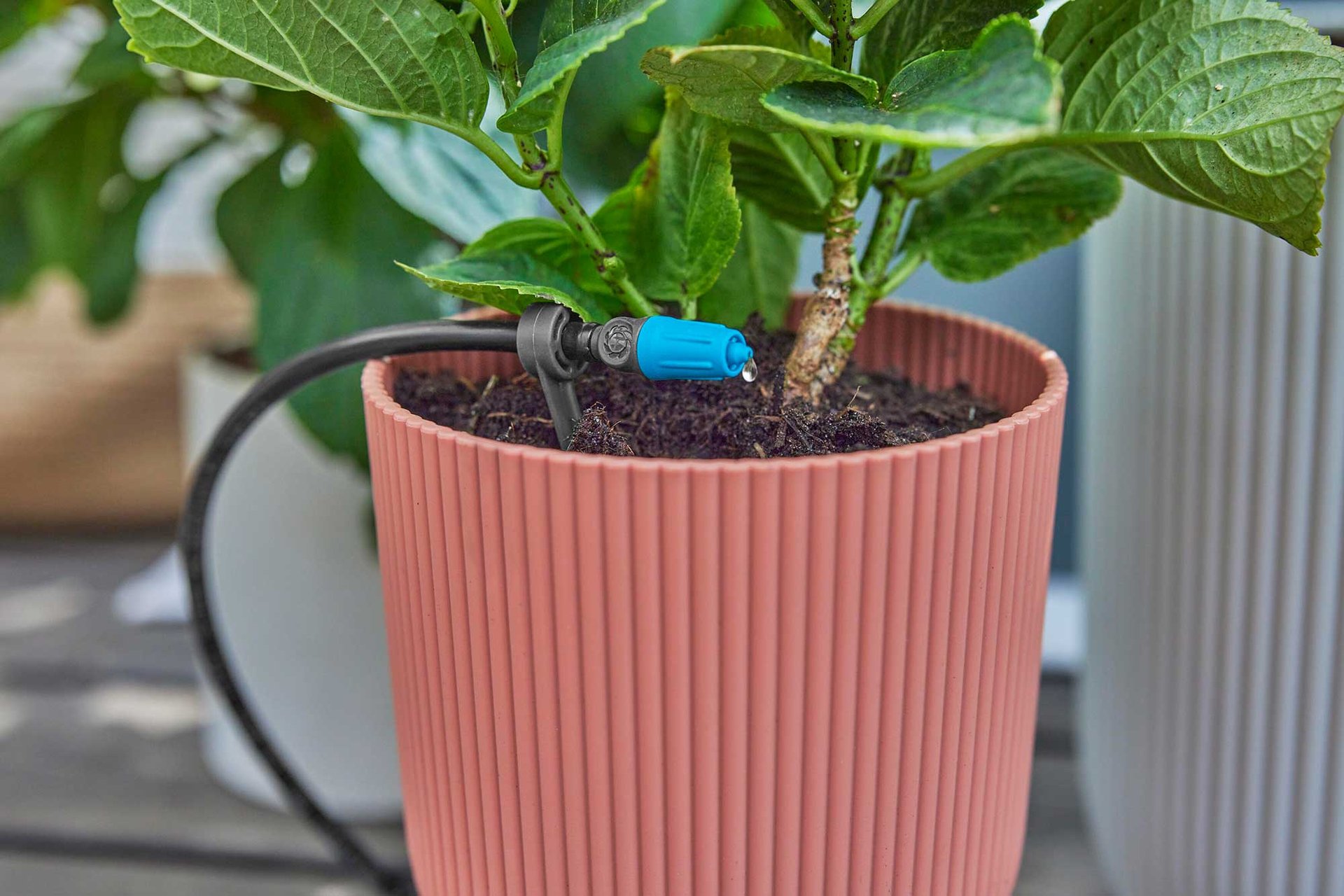 2321306 GARDENA MICRO DRIP VANDING 4