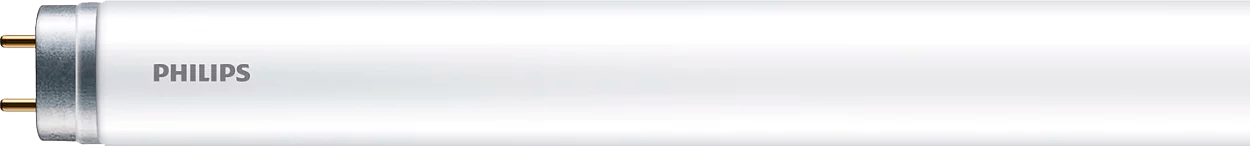 2399387 Philips Led Ror T8