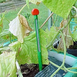 2519304 JULIANA JORDTERMOMETER Web