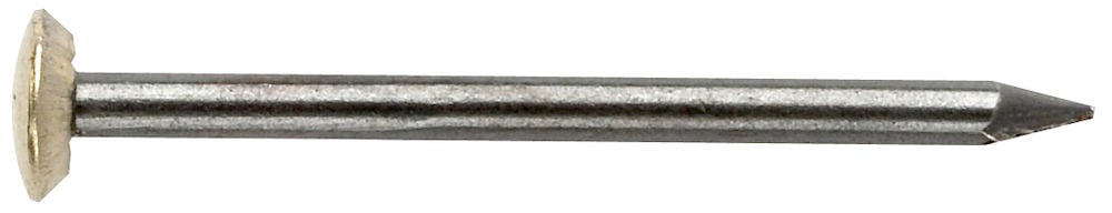 2813970 #187071 HARDENED BRASS HEAD NAIL IMG CLP 01