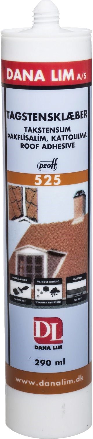 5017524 DANA LIM PROFF TAGSTENSKLÆBER 525