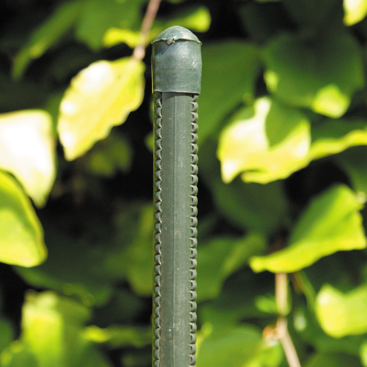 5909807 Plante Hegnspæle Plastbelagt, GRØN