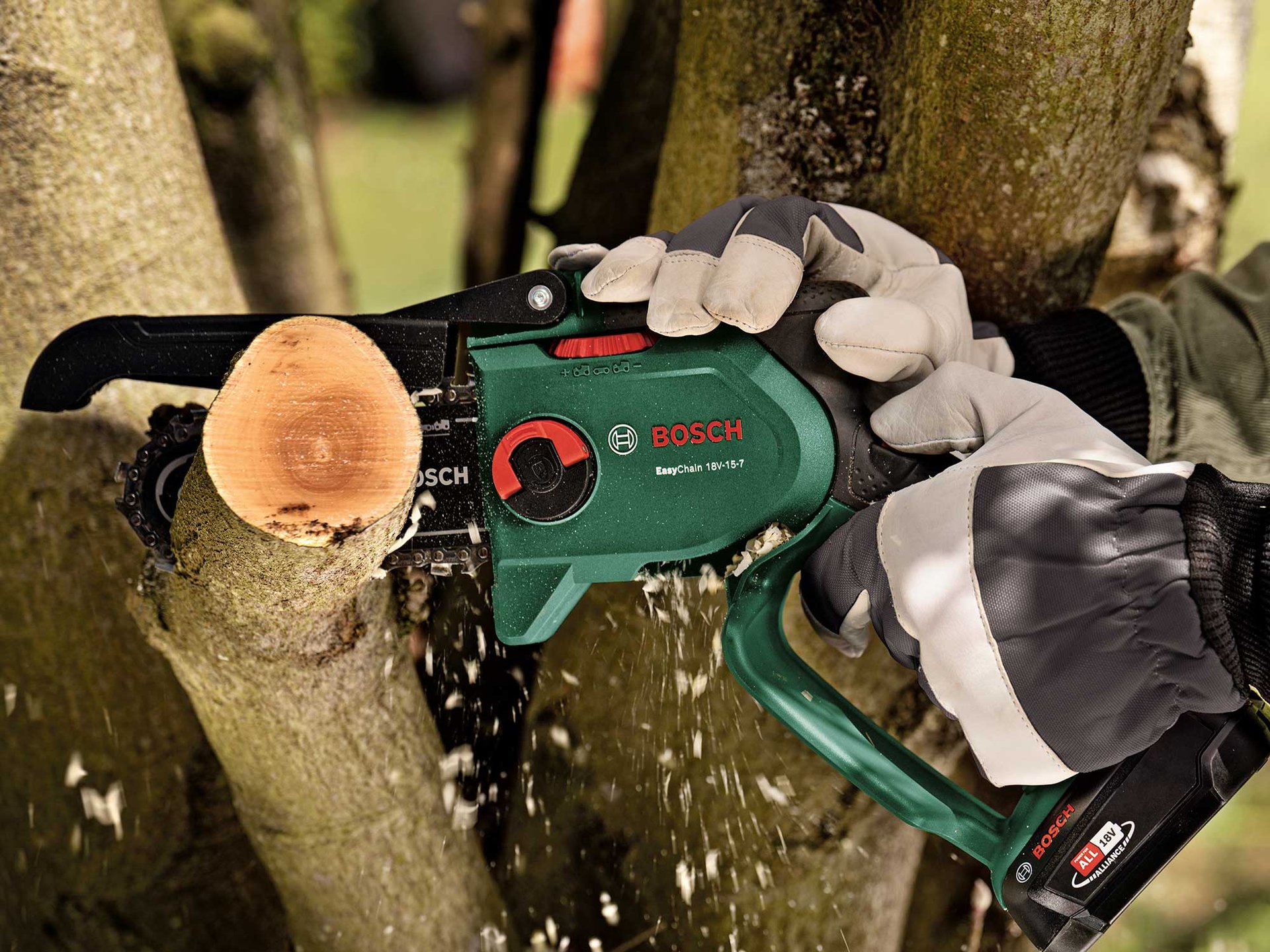 7442828 BOSCH 18V KÆDESAV EASY 150MM4
