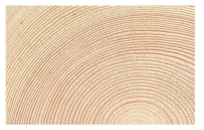 8969081 BB Ht238 Fyr Hoevlet 4S 43X115mm