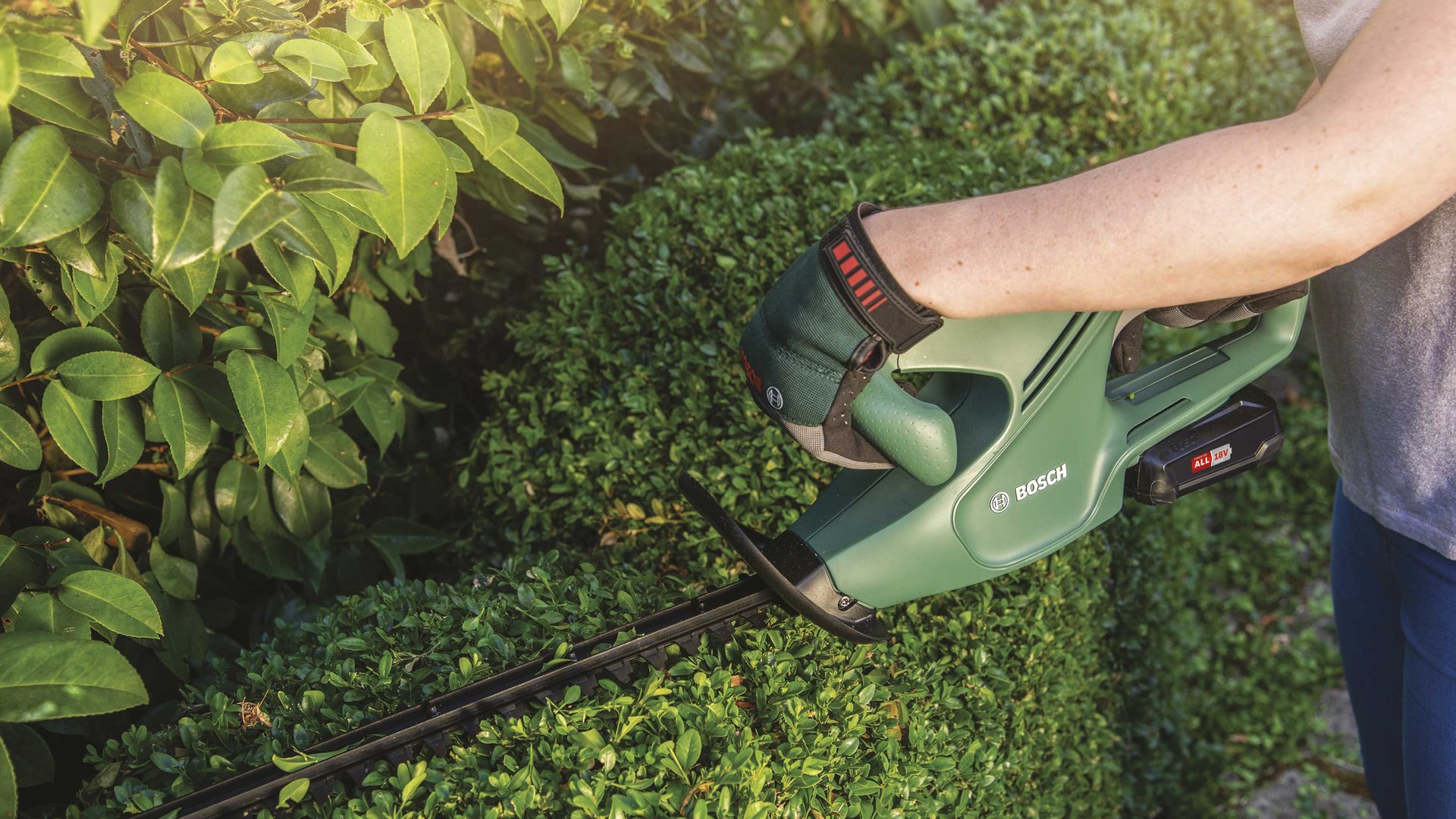 7440878 BOSCH 18V HÆKKEKLIPPER EASY 1