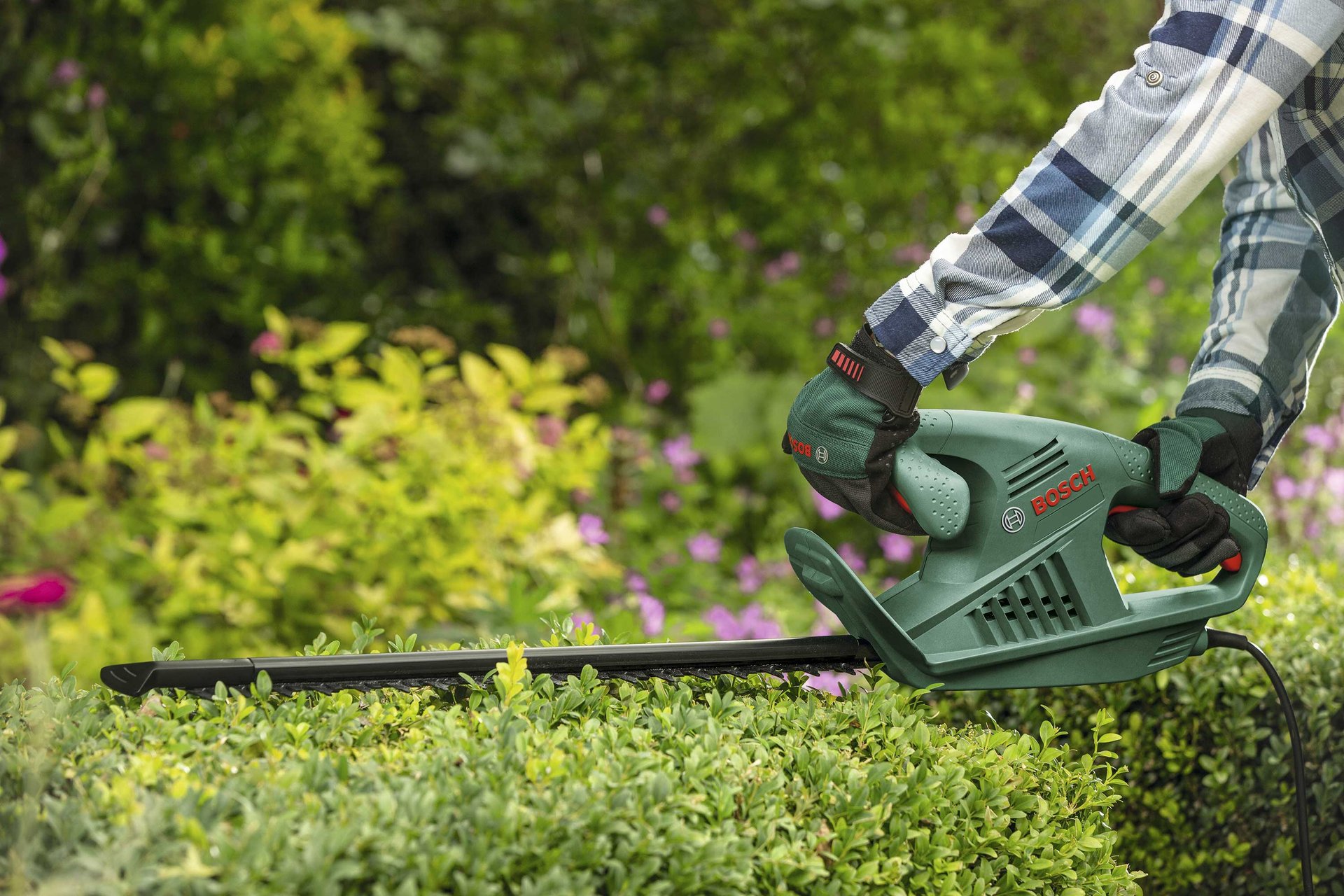 7440890 BOSCH EL HÆKKEKLIPPER EASY 1