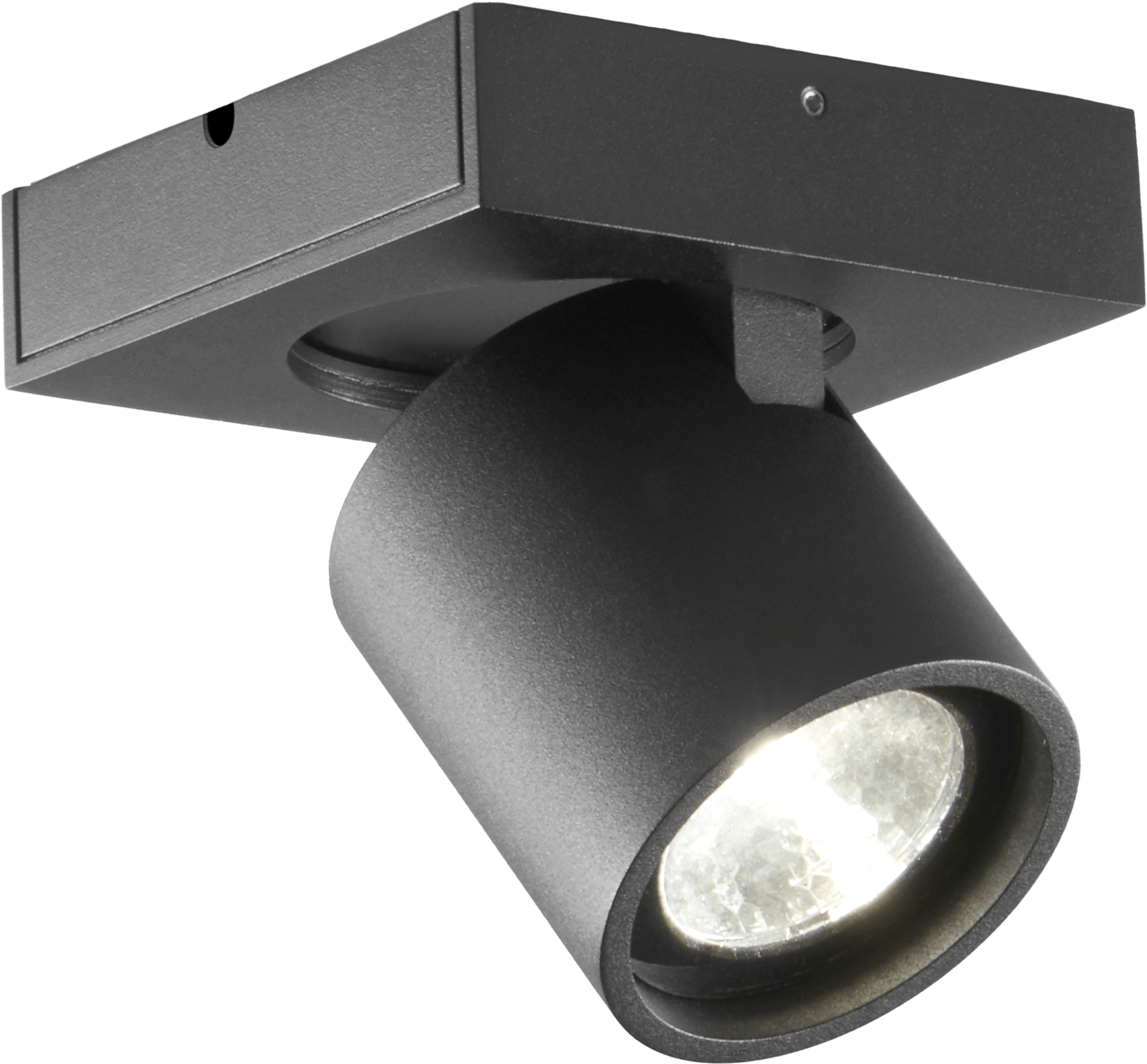 9118325 FOCUS+ 1 LED SPOT SORT