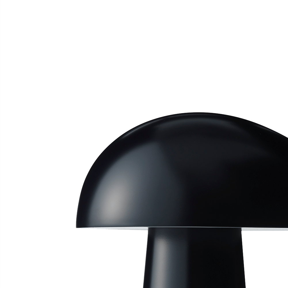 9119736 FH NIGHT OWL BORDLAMPE 4