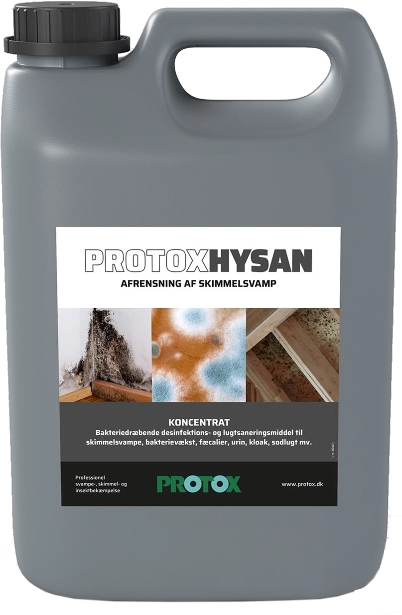 5305762 PROTOX HYSAN DESINFEKTION 5L