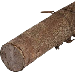 9139288 NSH RAFTER MBARK GRANFYR Web