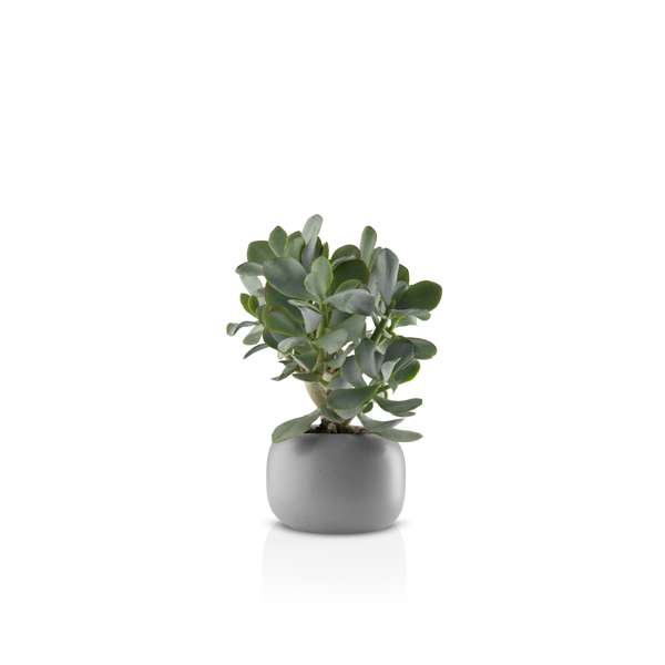 9139999 EVA SOLO STONE URTEPOTTE Ø16CM 2