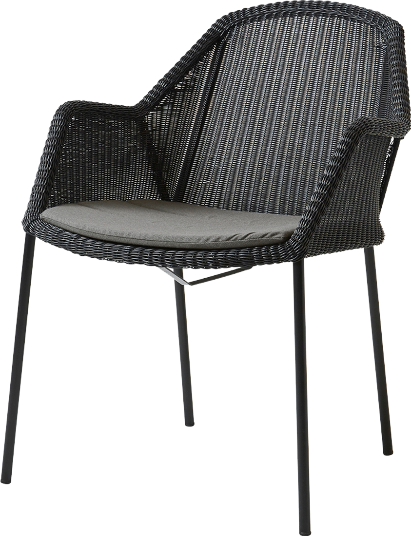 9143798 CANE LINE HYNDE 2