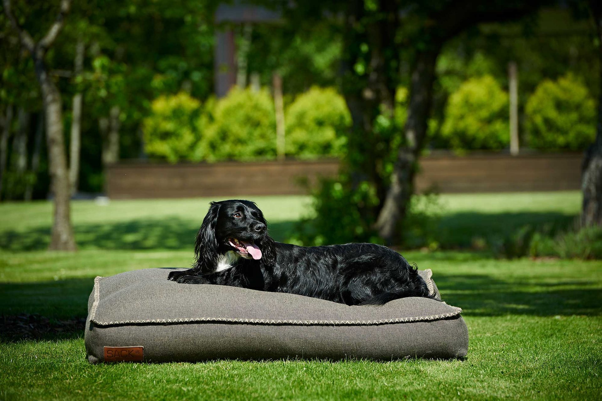 9144101 SACKIT HUNDESENG LARGE 2
