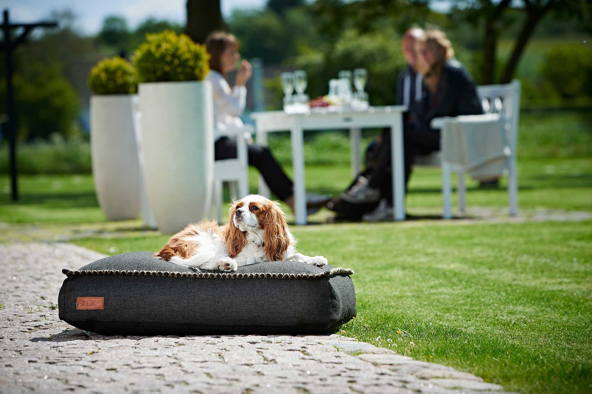 9144102 SACKIT HUNDESENG MEDUIM 2