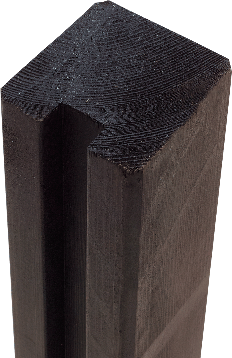 2158150 Primary