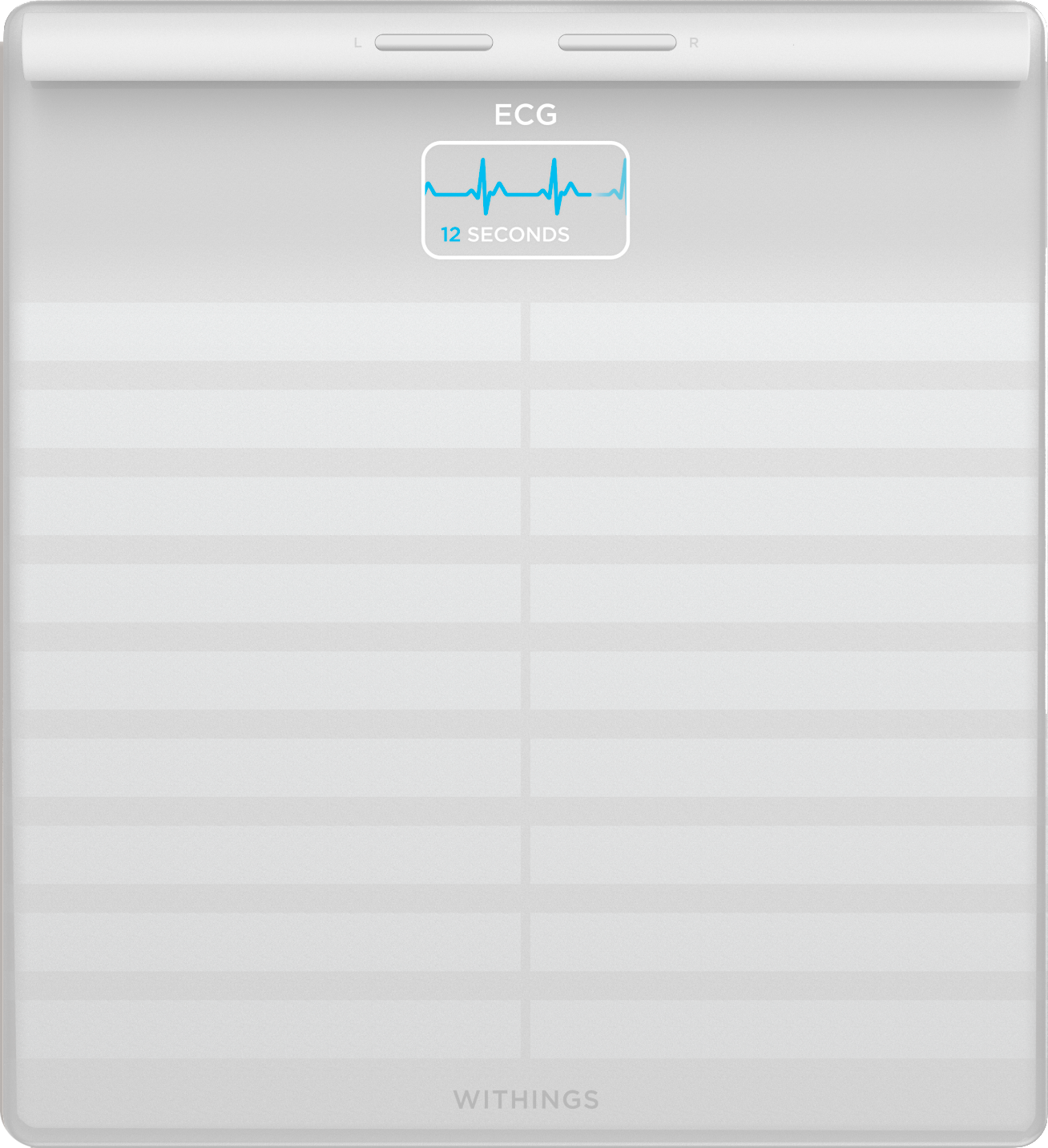 9146080 Bodyscan Primaer