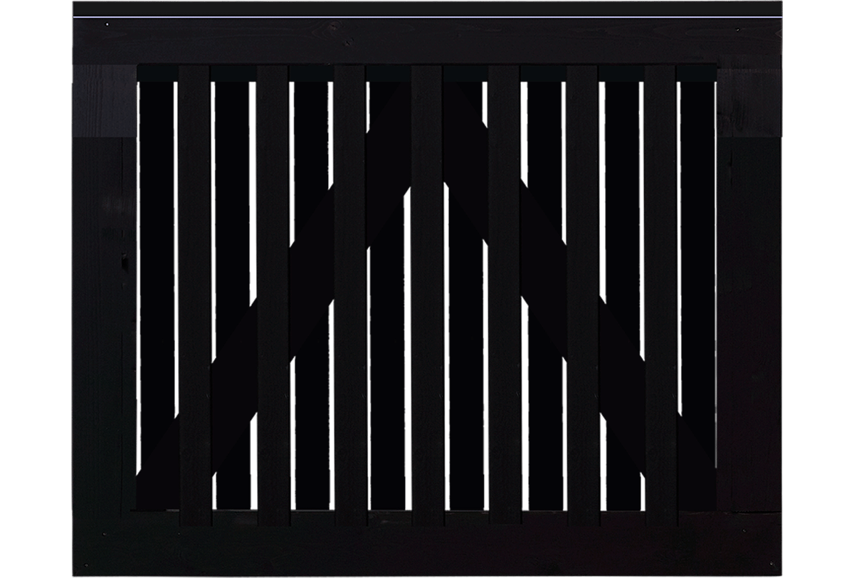 2158063 Primary