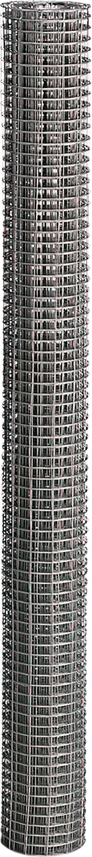 2156323 Primary