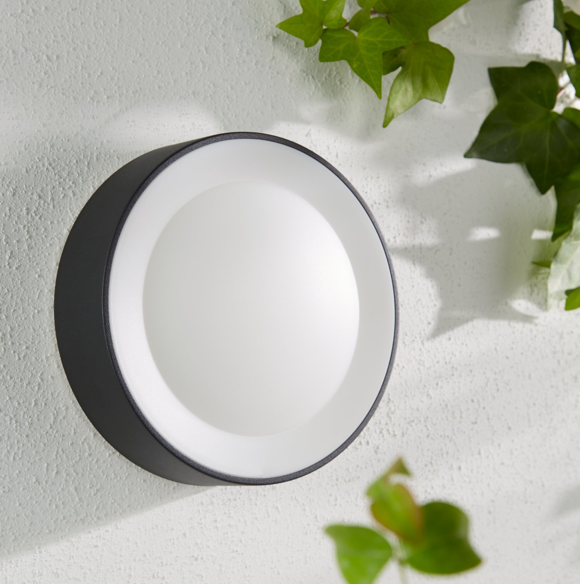 2096381 PHILIPS HUE DAYLO3 FULL