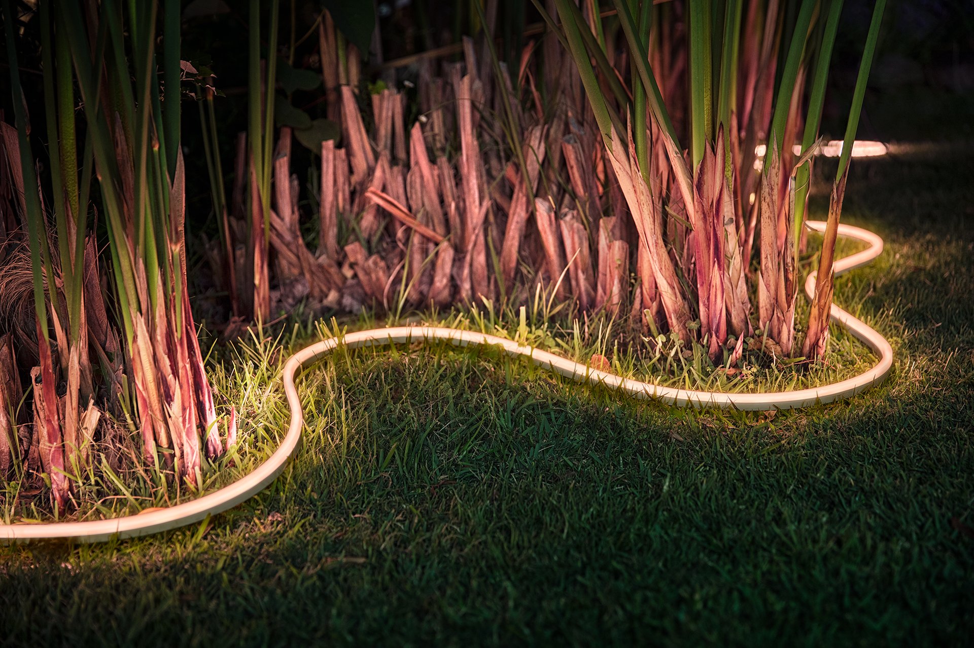 2107692 PHILIPS HUE LIGHTSTRIP2 FULL