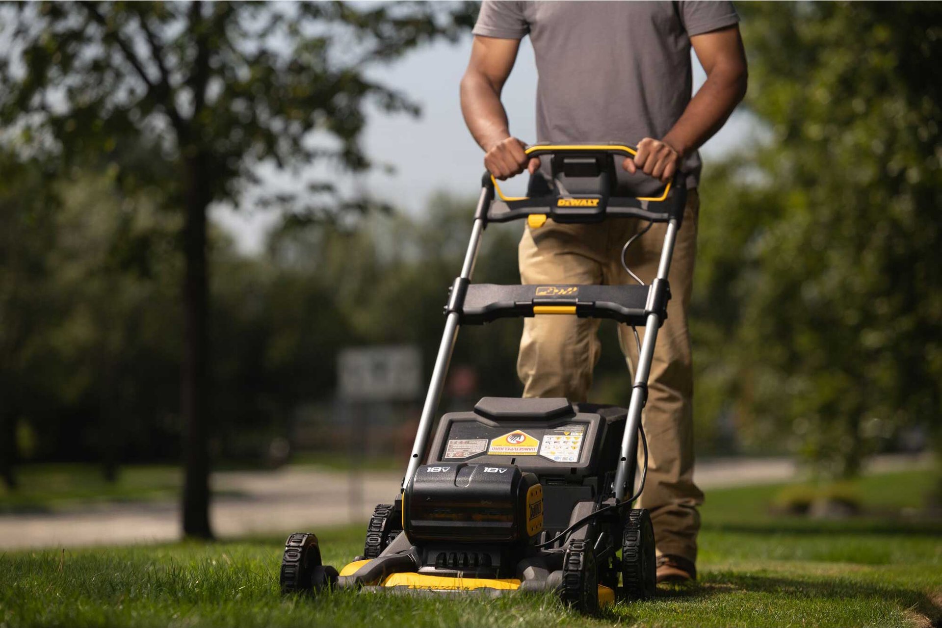 2393343 Dewalt Plaeneklipper 4