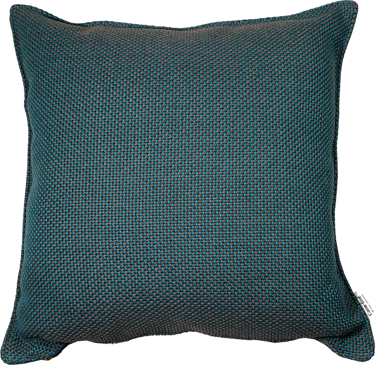 9139690 CANE LINE FOCUS PYNTEPUDE