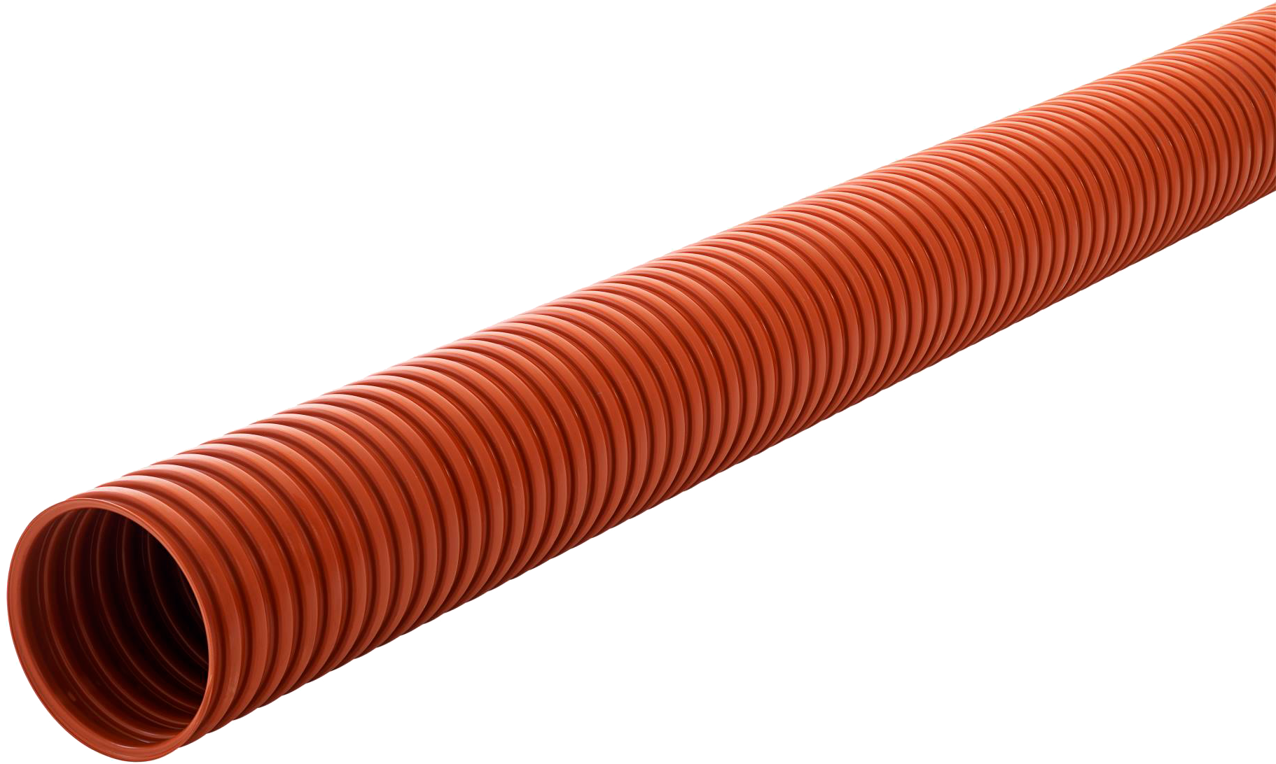 1921262