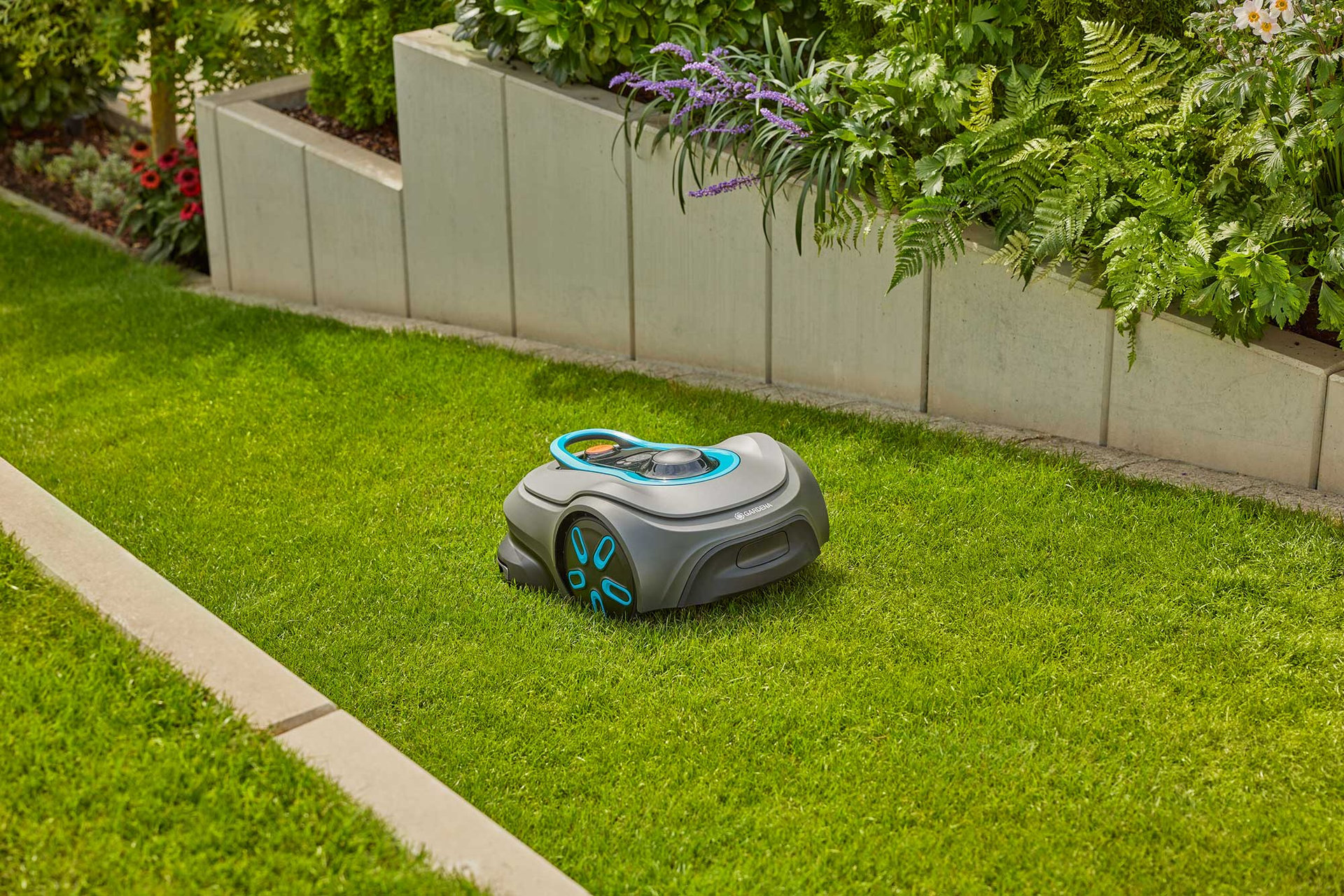 2439818 SILENO FREE ROBOT PLÆNEKLIPPER 1500M2 2