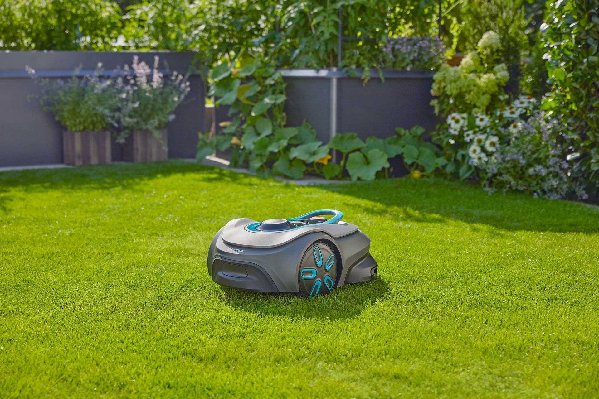 2439818 SILENO FREE ROBOT PLÆNEKLIPPER 1500M2 10