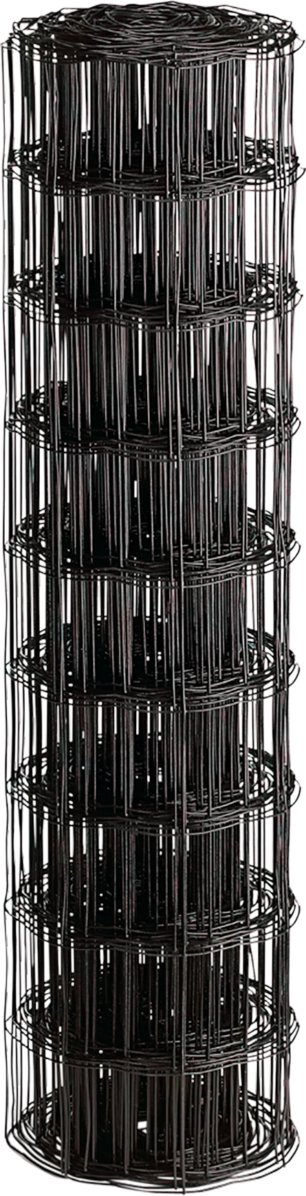 1257810 Primary