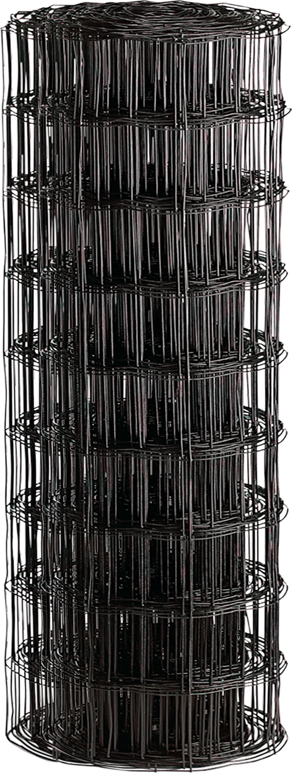 5325950 Primary