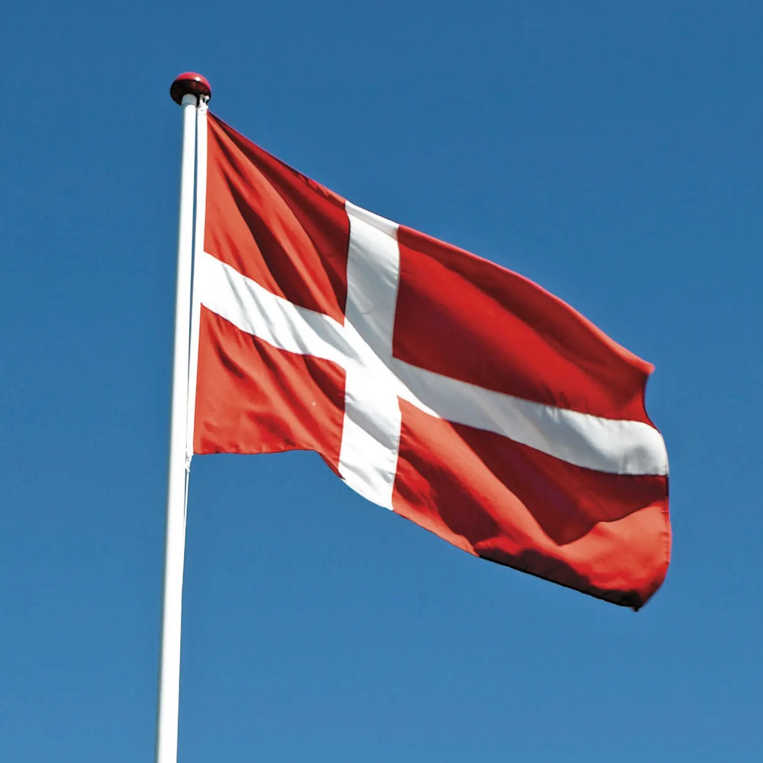 8619165 DANO MAST DANNEBROG