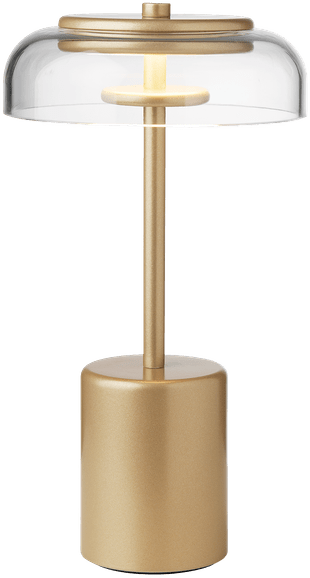 9146877 NUURA BLOSSI BORDLAMPE MINI PORTABLE NORDIC GOLD 1