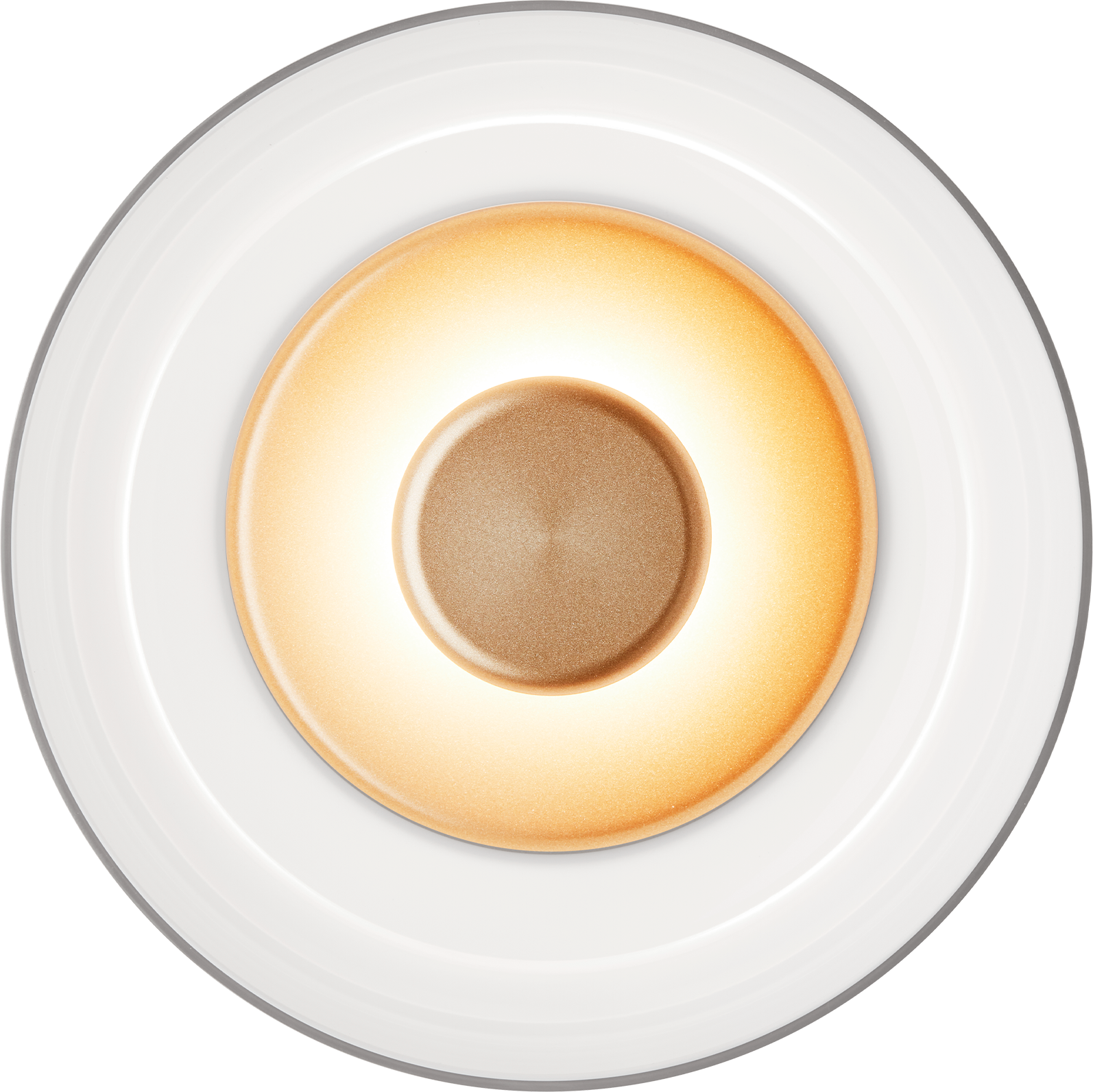 9146893 NUURA BLOSSI VÆG LOFTLAMPE Ø23CM NORDIC GOLD OPAL 1