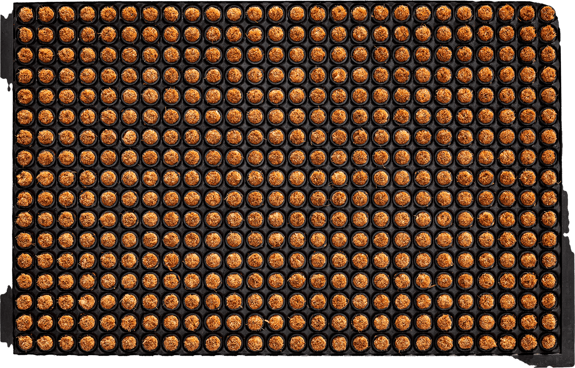 2366284 KOKOSMÅTTE RUBCO DOTS 60X40CM 15MM HØJ