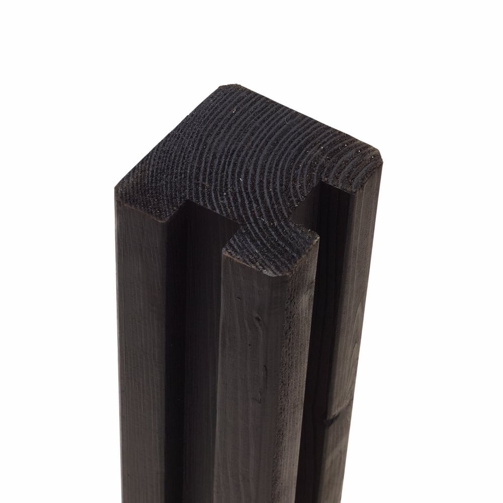 2459363 Primary