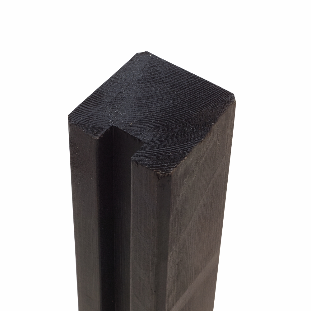 2459384 Primary