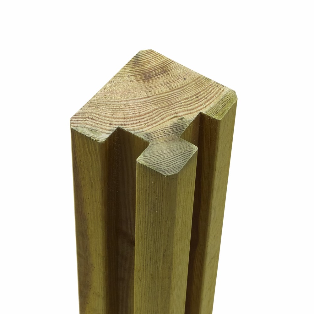 2459361 Primary
