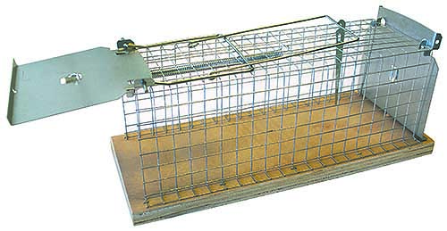 Buy Swissinno Mouse Classic Cage trap 1 pc(s)